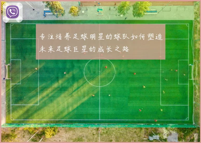 专注培养足球明星的球队如何塑造未来足球巨星的成长之路
