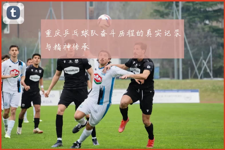 重庆乒乓球队奋斗历程的真实记录与精神传承
