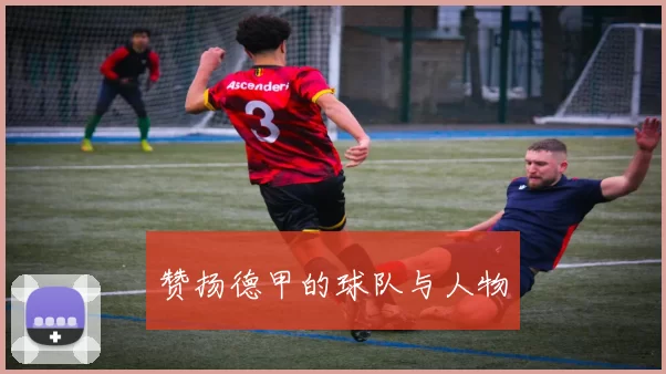 赞扬德甲的球队与人物