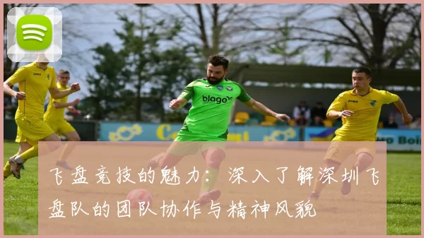 飞盘竞技的魅力：深入了解深圳飞盘队的团队协作与精神风貌