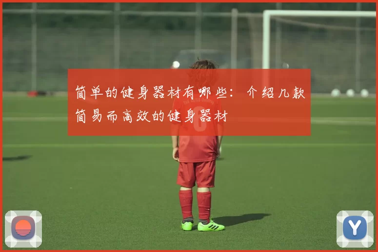 简单的健身器材有哪些：介绍几款简易而高效的健身器材