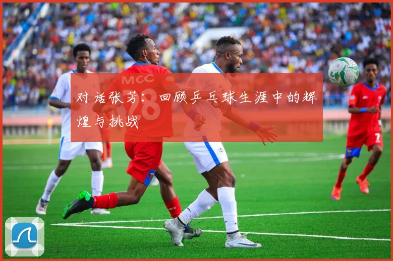 对话张芳：回顾乒乓球生涯中的辉煌与挑战