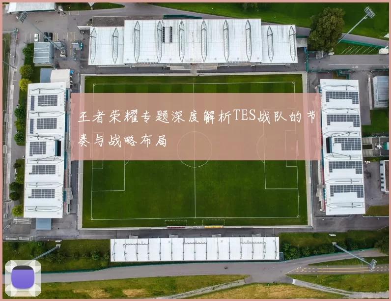 王者荣耀专题深度解析TES战队的节奏与战略布局