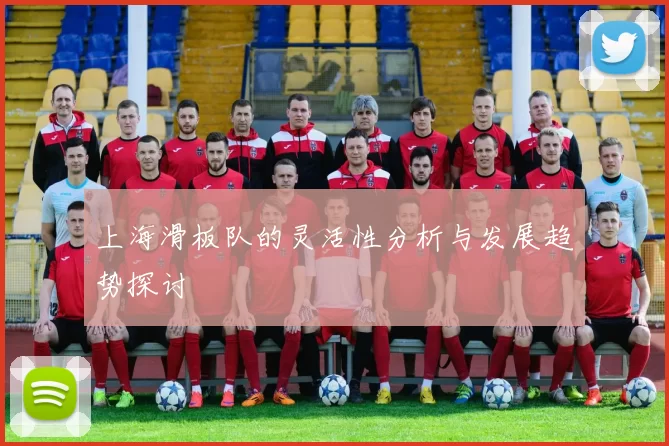 上海滑板队的灵活性分析与发展趋势探讨