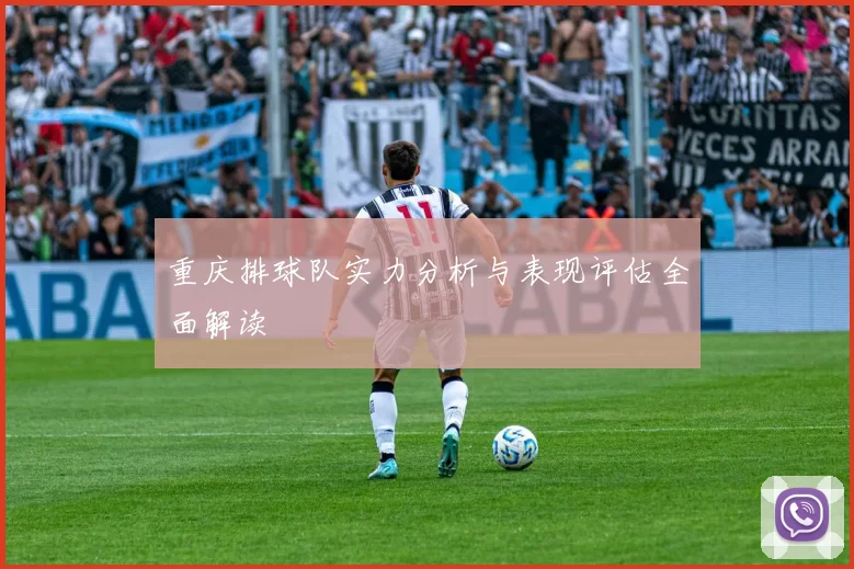重庆排球队实力分析与表现评估全面解读
